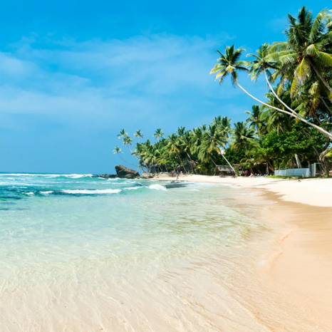 Ap-Travel туризм на Шри-Ланке