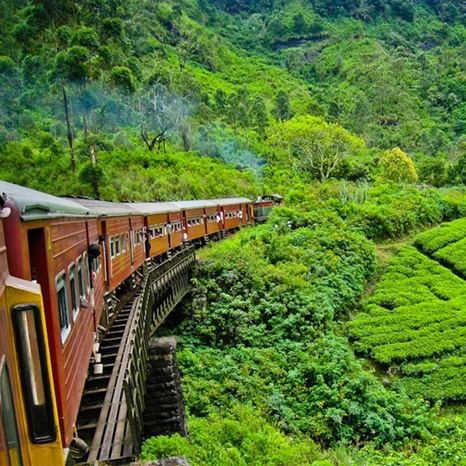 Ap-Travel туризм на Шри-Ланке